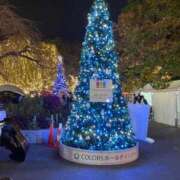 ヒメ日記 2025/12/22 11:18 投稿 ういか チューリップ土浦店