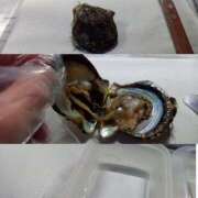 ヒメ日記 2024/12/25 11:05 投稿 はなび 熟女の風俗最終章 宇都宮店