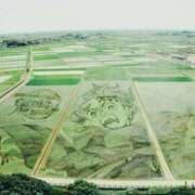 ヒメ日記 2025/07/09 14:41 投稿 はなび 熟女の風俗最終章 宇都宮店