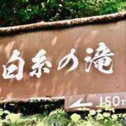 ヒメ日記 2024/08/31 16:32 投稿 みい 素人妻達☆マイふぇらレディー