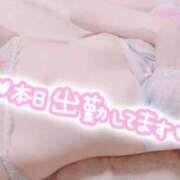 ヒメ日記 2026/02/17 11:49 投稿 みわ One More奥様　立川店