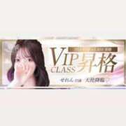 ヒメ日記 2025/02/25 20:00 投稿 せれん luxury spa 風雅