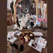 ヒメ日記 2025/02/27 19:53 投稿 せれん luxury spa 風雅