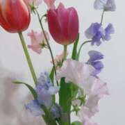 ヒメ日記 2025/03/26 23:16 投稿 せれん luxury spa 風雅