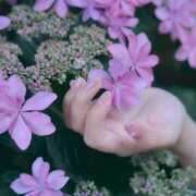 ヒメ日記 2025/06/22 12:15 投稿 せれん luxury spa 風雅