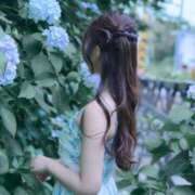 ヒメ日記 2025/06/24 17:31 投稿 せれん luxury spa 風雅