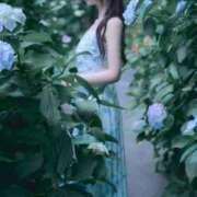 ヒメ日記 2025/06/27 21:43 投稿 せれん luxury spa 風雅