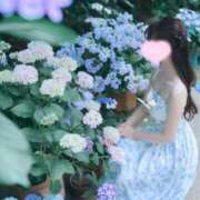 ヒメ日記 2025/07/11 22:49 投稿 せれん luxury spa 風雅