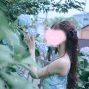 ヒメ日記 2025/07/14 12:55 投稿 せれん luxury spa 風雅