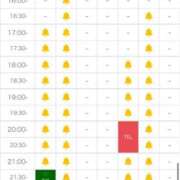 ヒメ日記 2026/01/31 10:19 投稿 せれん luxury spa 風雅