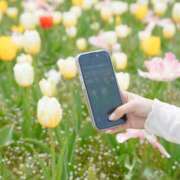 ヒメ日記 2026/04/05 22:51 投稿 せれん luxury spa 風雅