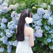 ヒメ日記 2026/06/26 12:20 投稿 せれん luxury spa 風雅