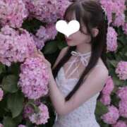 ヒメ日記 2026/07/21 23:08 投稿 せれん luxury spa 風雅