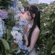ヒメ日記 2026/08/03 23:51 投稿 せれん luxury spa 風雅