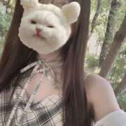 ヒメ日記 2026/10/08 12:16 投稿 せれん luxury spa 風雅