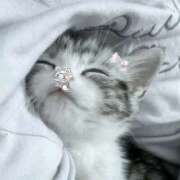 ヒメ日記 2025/04/21 15:41 投稿 すい luxury spa 風雅