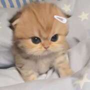 ヒメ日記 2025/05/06 17:31 投稿 すい luxury spa 風雅