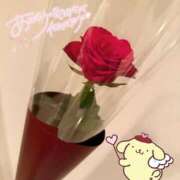 ヒメ日記 2025/10/20 19:00 投稿 すい luxury spa 風雅