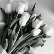 すい 12がつ🌷 luxury spa 風雅