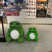 ヒメ日記 2025/02/16 01:53 投稿 つばめ 熟女の風俗最終章 八王子店