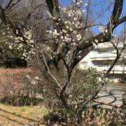 ヒメ日記 2025/03/04 14:33 投稿 つばめ 熟女の風俗最終章 八王子店