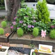 ヒメ日記 2025/06/12 17:13 投稿 つばめ 熟女の風俗最終章 八王子店