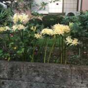 ヒメ日記 2025/10/02 21:13 投稿 つばめ 熟女の風俗最終章 八王子店