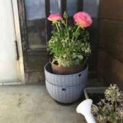 ヒメ日記 2026/02/23 13:54 投稿 つばめ 熟女の風俗最終章 八王子店