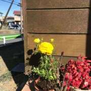 ヒメ日記 2026/02/25 19:23 投稿 つばめ 熟女の風俗最終章 八王子店