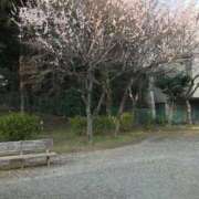 ヒメ日記 2026/02/28 23:13 投稿 つばめ 熟女の風俗最終章 八王子店