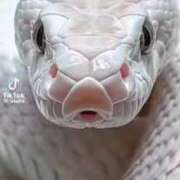 ヒメ日記 2025/01/03 21:23 投稿 つばめ 熟女の風俗最終章 所沢店