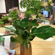 ヒメ日記 2025/06/02 14:18 投稿 つばめ 熟女の風俗最終章 所沢店