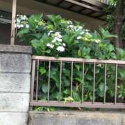 ヒメ日記 2025/06/09 05:22 投稿 つばめ 熟女の風俗最終章 所沢店