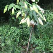 ヒメ日記 2025/07/13 21:53 投稿 つばめ 熟女の風俗最終章 所沢店