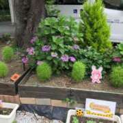 ヒメ日記 2025/06/14 10:54 投稿 つばめ 熟女の風俗最終章 立川店