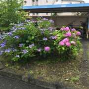 ヒメ日記 2025/06/16 12:49 投稿 つばめ 熟女の風俗最終章 立川店