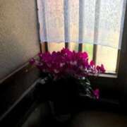 ヒメ日記 2026/02/20 14:53 投稿 つばめ 熟女の風俗最終章 立川店