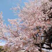 ヒメ日記 2025/04/08 11:28 投稿 みわ One More奥様　八王子店