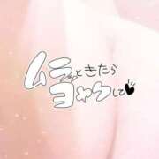 ヒメ日記 2024/12/23 09:55 投稿 ふみこ 待ちナビ