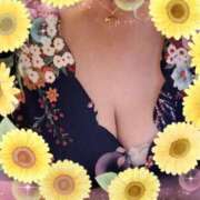 ヒメ日記 2025/06/24 01:35 投稿 ふみこ 待ちナビ