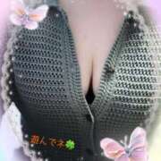 ヒメ日記 2025/09/22 12:37 投稿 ふみこ 待ちナビ