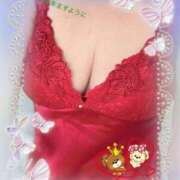 ヒメ日記 2025/10/15 15:17 投稿 ふみこ 待ちナビ