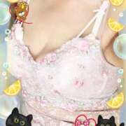 ヒメ日記 2025/10/17 11:25 投稿 ふみこ 待ちナビ