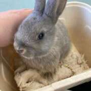 ヒメ日記 2025/03/02 16:38 投稿 みひろ 熟女の風俗最終章 高崎店