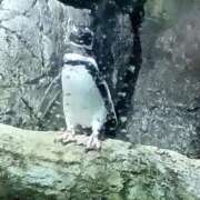 ヒメ日記 2025/09/13 08:44 投稿 みひろ 熟女の風俗最終章 高崎店