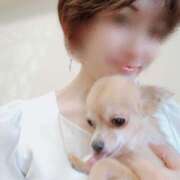 ヒメ日記 2025/04/08 13:48 投稿 ありさ【ロイヤルOP対応】 あなたの全てを包み込む　優しいひとづま