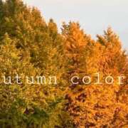 ヒメ日記 2025/11/26 13:05 投稿 ひらり 小田原人妻城