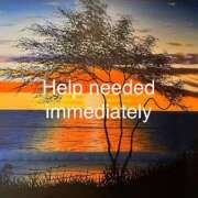 ヒメ日記 2025/12/03 13:04 投稿 ひらり 小田原人妻城