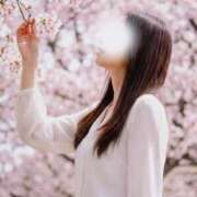 ヒメ日記 2026/03/07 12:16 投稿 ひらり 小田原人妻城