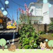 ヒメ日記 2025/06/05 12:21 投稿 晴山るな 熟女デリヘル倶楽部